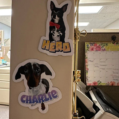Turn Photos into Hand Drawn Magnets